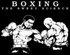 SirMalikCobra SirMalikCobra