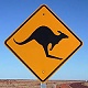 Join here if you believe kangaroo leather bags are great!
