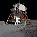 Click image for larger version

Name:	moon walk.jpg
Views:	437
Size:	66.3 KB
ID:	88288