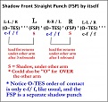 Click image for larger version

Name:	1. FSP shadow B4 O-TES_sm 600.jpg
Views:	346
Size:	89.1 KB
ID:	88538
