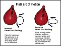 Click image for larger version

Name:	Fist arc of motion in F-Roll.jpg
Views:	294
Size:	65.1 KB
ID:	88760