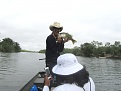 Click image for larger version

Name:	Henry 4lb bass_1000x750.JPG
Views:	328
Size:	119.8 KB
ID:	89065