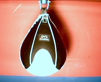 Click image for larger version
Name: speed bag.jpg
Views: 1
Size: 78.6 KB
ID: 92211